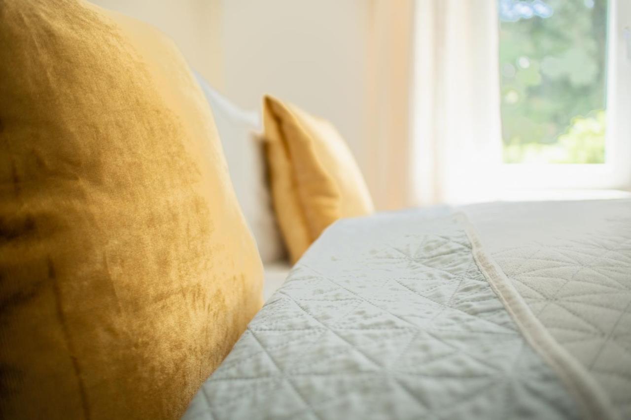 Loewe Apartment Gold Tiengen Altstadt Waldshut-Tiengen Kültér fotó